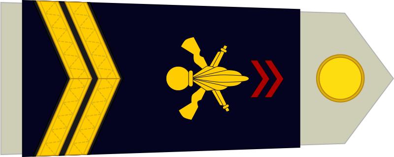 法国将军军衔等级,法国上校是什么军衔