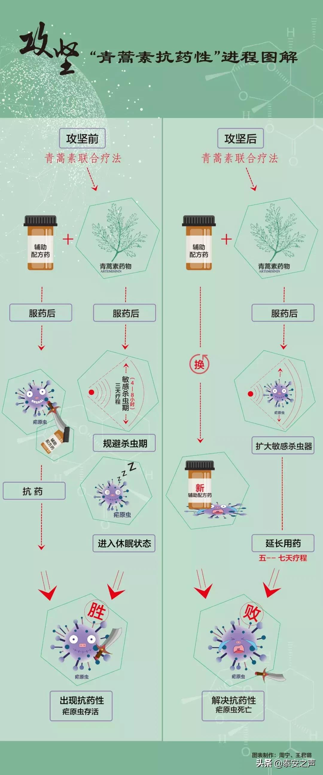 屠呦呦有望攻克红斑狼疮,屠呦呦的新药能根治红斑狼疮吗