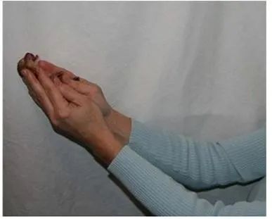 猫宫庄园大幅度提高新生小猫出生率的助产方法