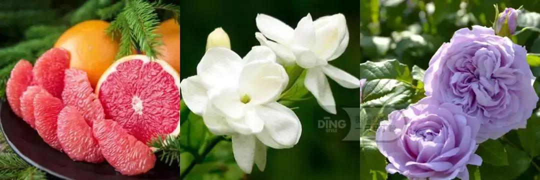 香水搭配的基本知识,香水潮流搭配