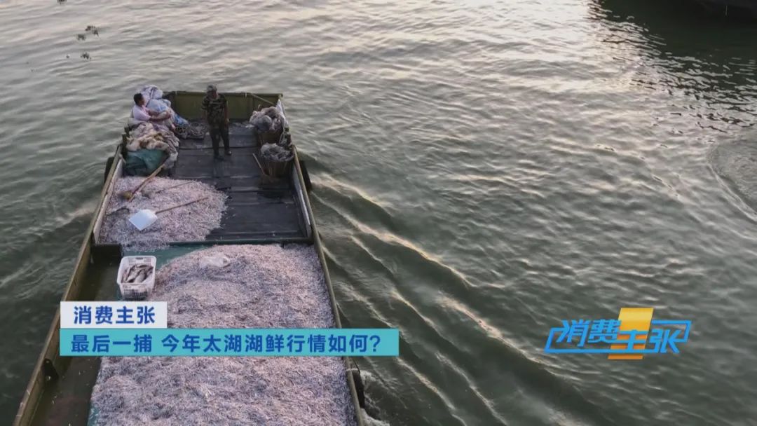 直击太湖开湖现场！鲜美湖鲜大量上市，资深吃货准备好了吗？