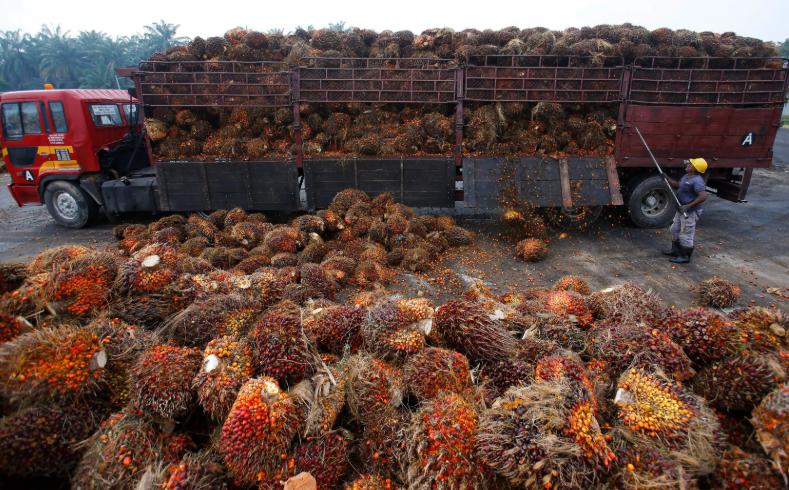 印度不会做生意：不买马来西亚的棕榈油还想把国产战机卖给人家