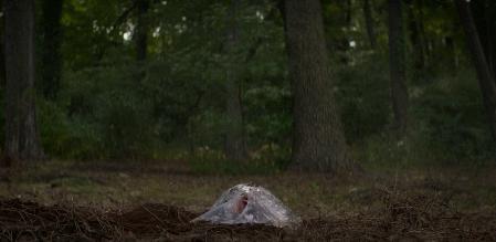 我绿了我自己搞笑版,我绿了我自己小说