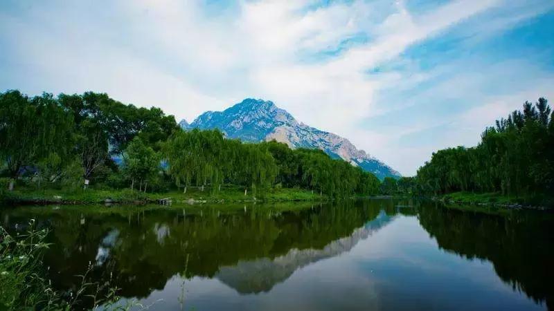 芳华70,芳华70年代的回忆