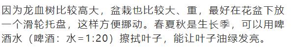 什么花放在家里最好看最实用,放家里风水好又好养的花有哪些