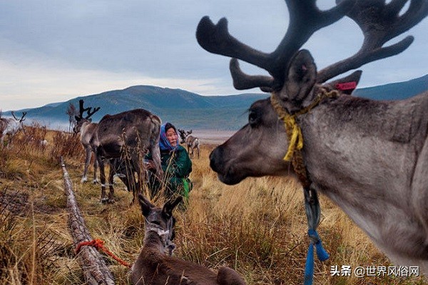萨满教六大体系,蒙古萨满教简介