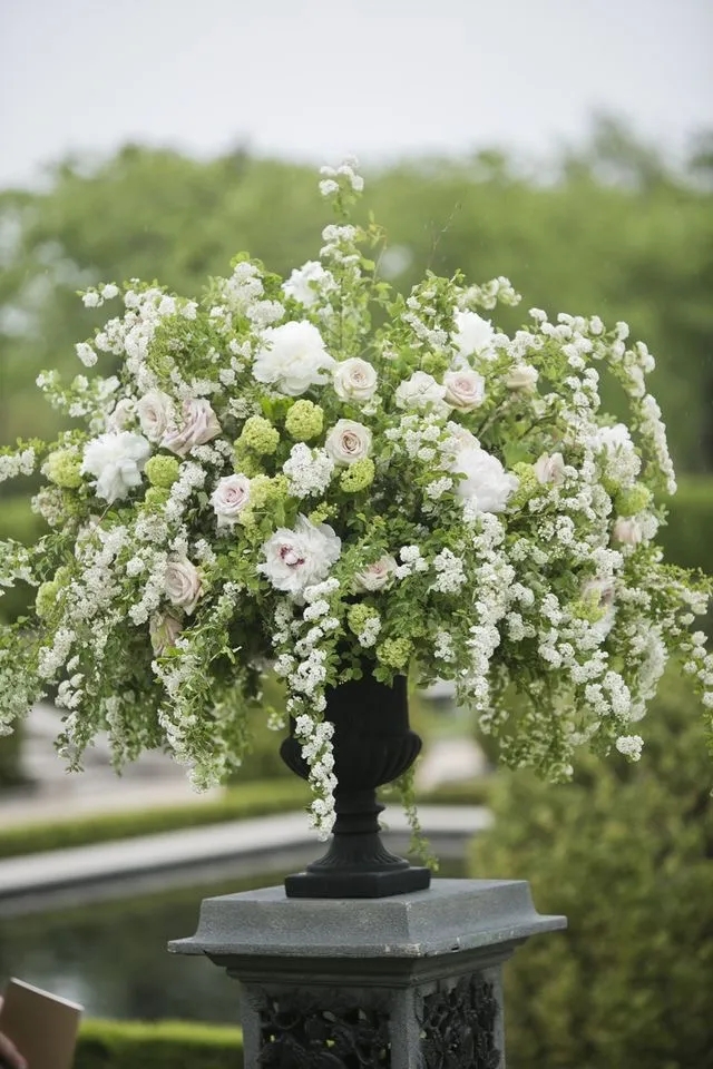 植库‖浪漫清新的小手球,为你带来氧气小森林