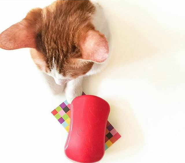 tt梳哪一款好用,tt梳的款式有区别