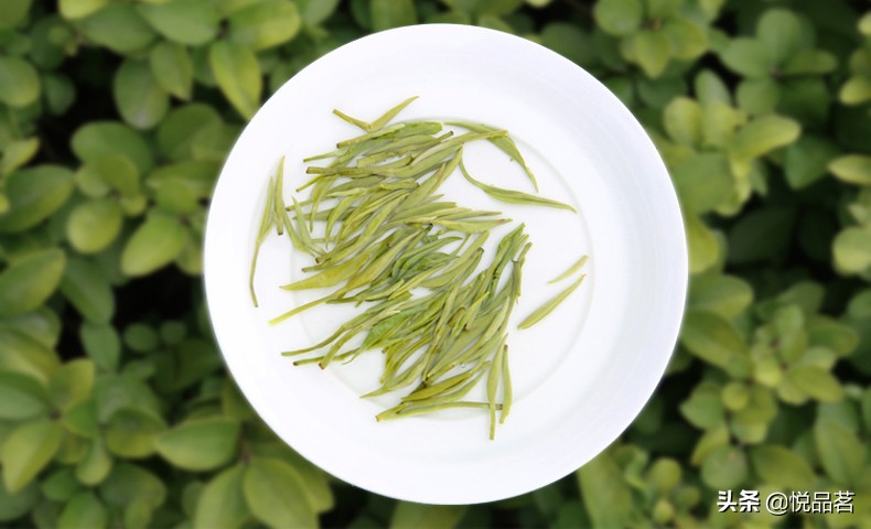 都想喝到正宗的碧螺春，那么你知道碧螺春茶叶哪个牌子好吗