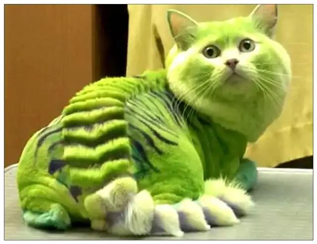 今年一定要懂的网络流行词,形容很厉害的网络流行词