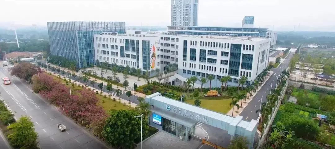 中考黑马有多厉害,中考黑马的成绩