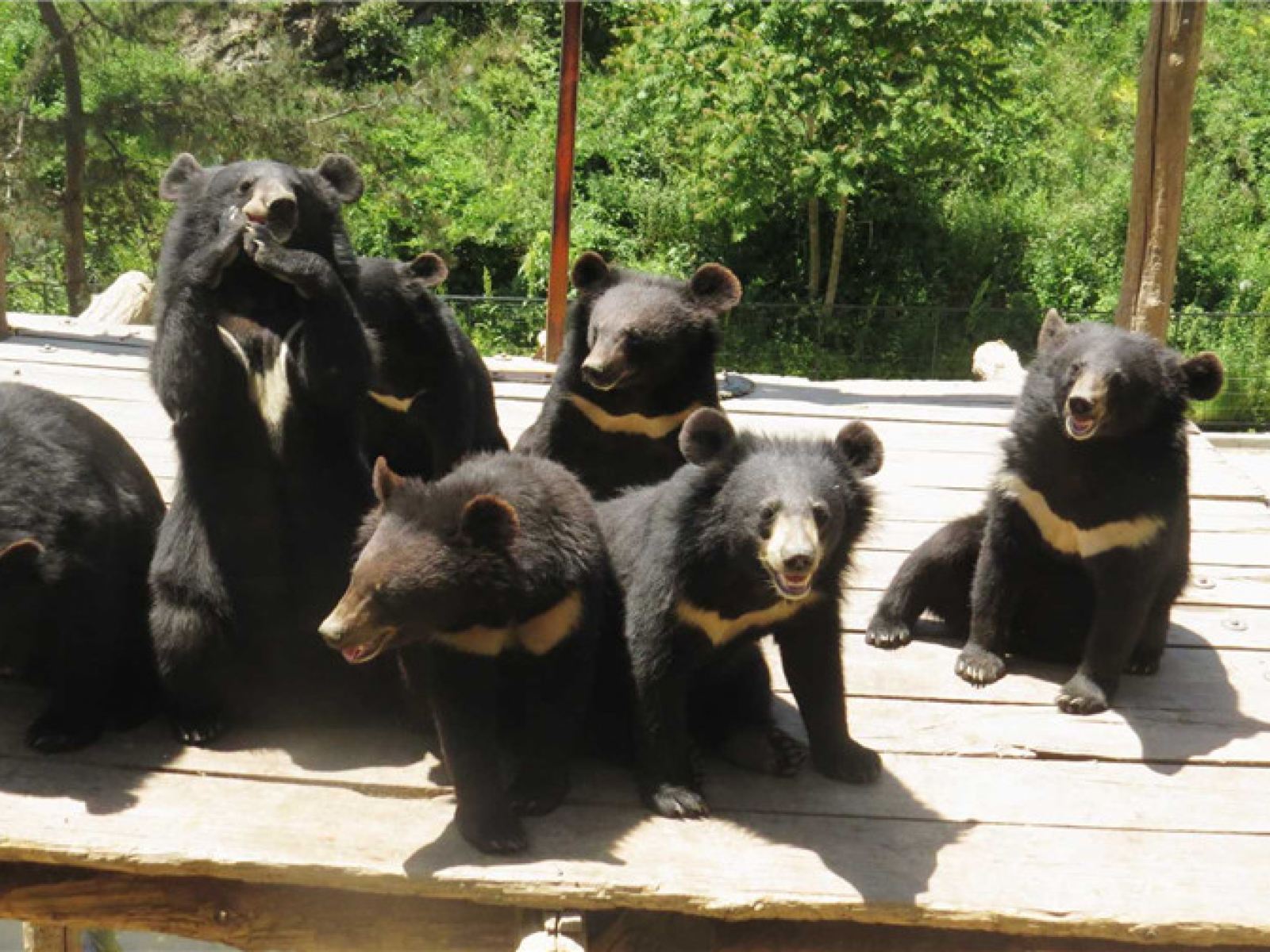 辽宁大连推荐旅游景点,辽宁大连旅游必去景点