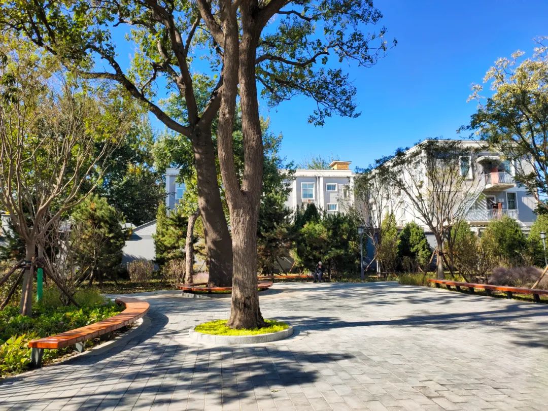 天坛公园周边,天坛旁边的公园