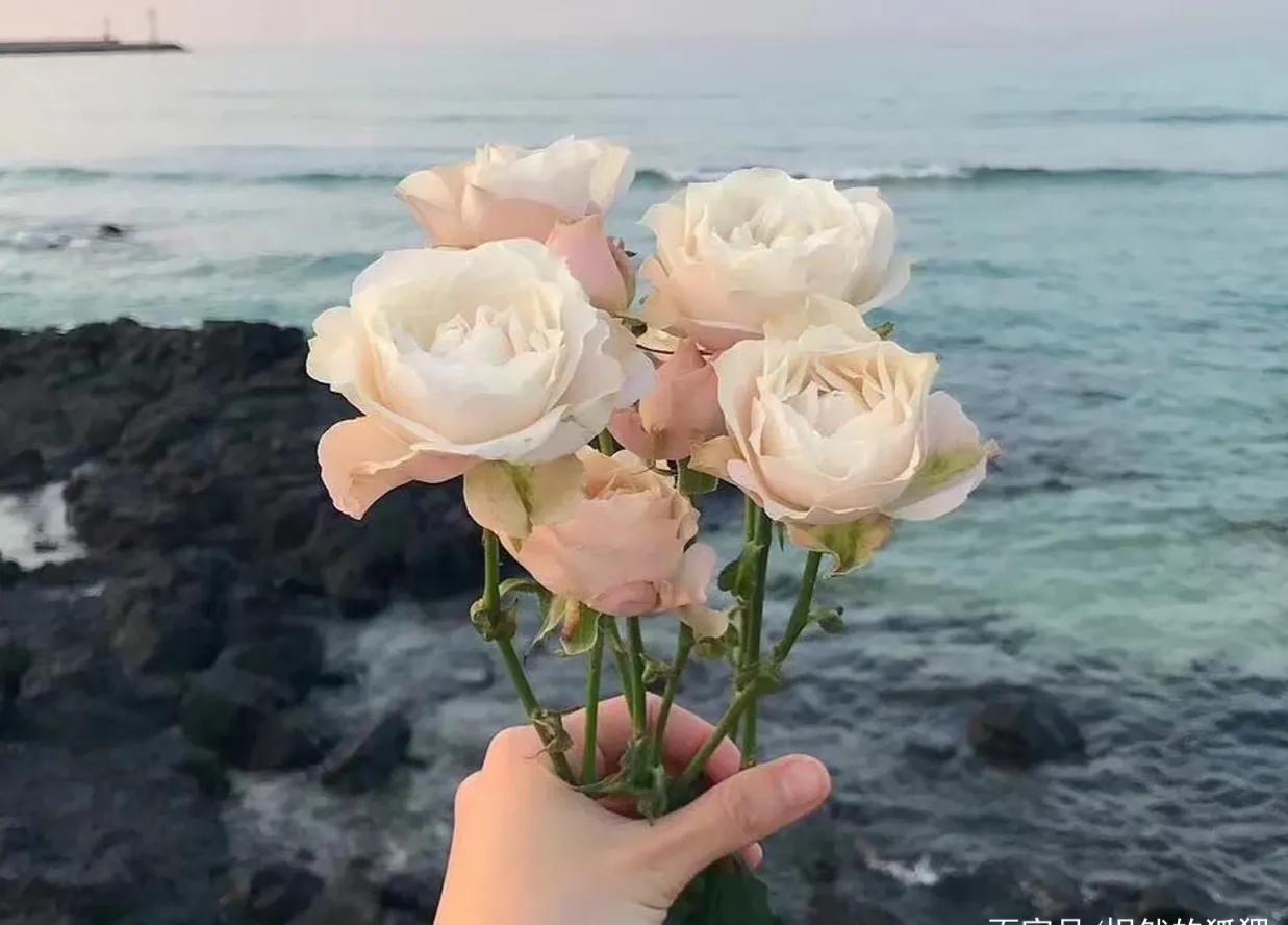 爱你的人会投其所好,表达一个人爱你爱到竭尽所能