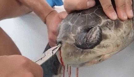 彭于晏我最需要的时候你在哪里,彭于晏我最需要他的时候他在哪里