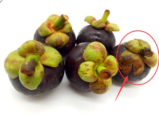 山竹又贵又少,贵的山竹跟便宜的山竹有什么区别