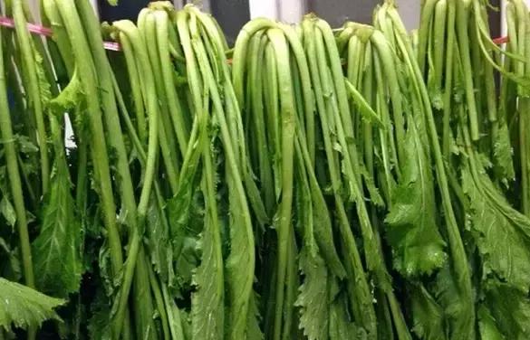 【小知识】我们常吃的腌菜，原来是用它们做的~