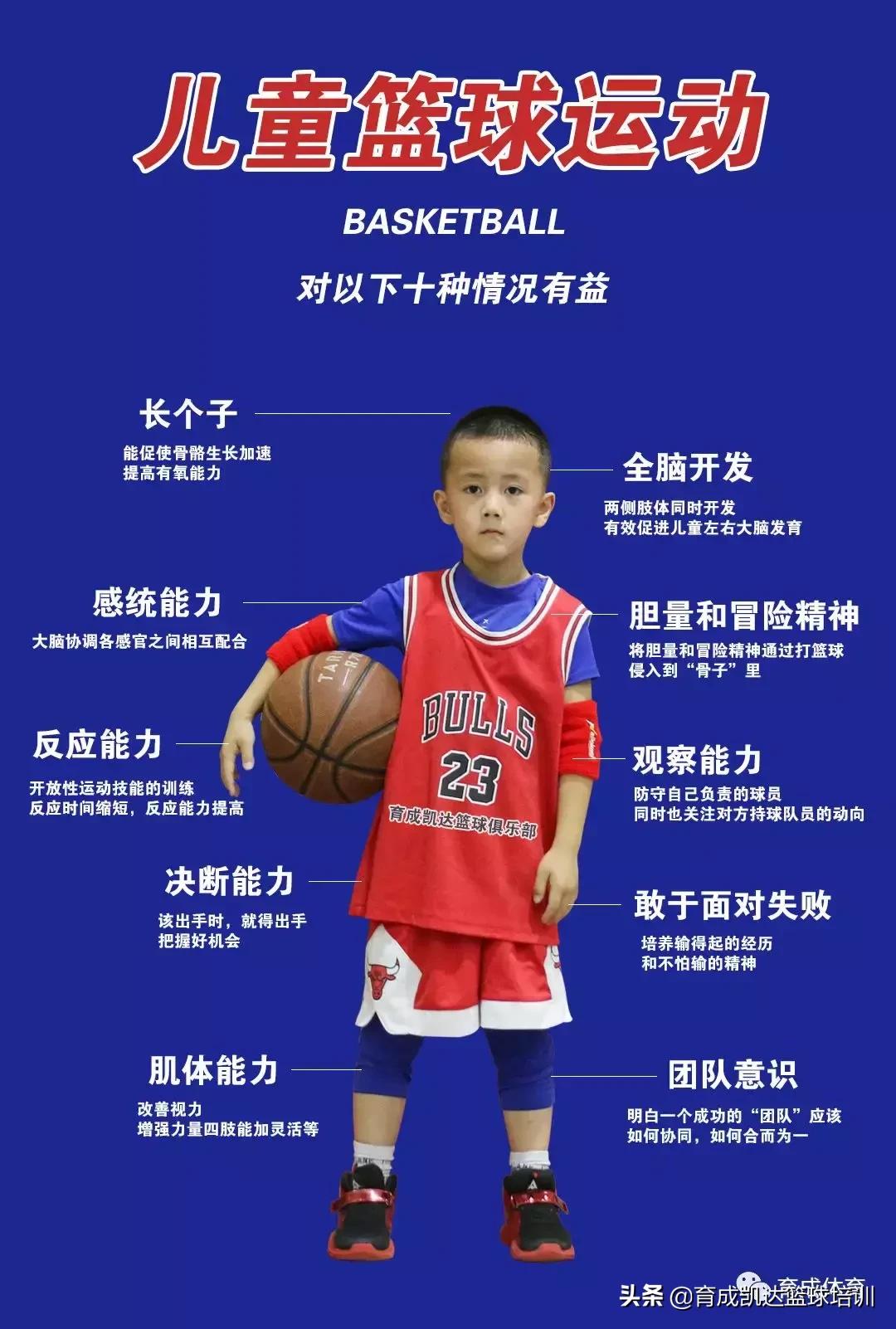 打篮球前准备事项,育成鸡注意事项