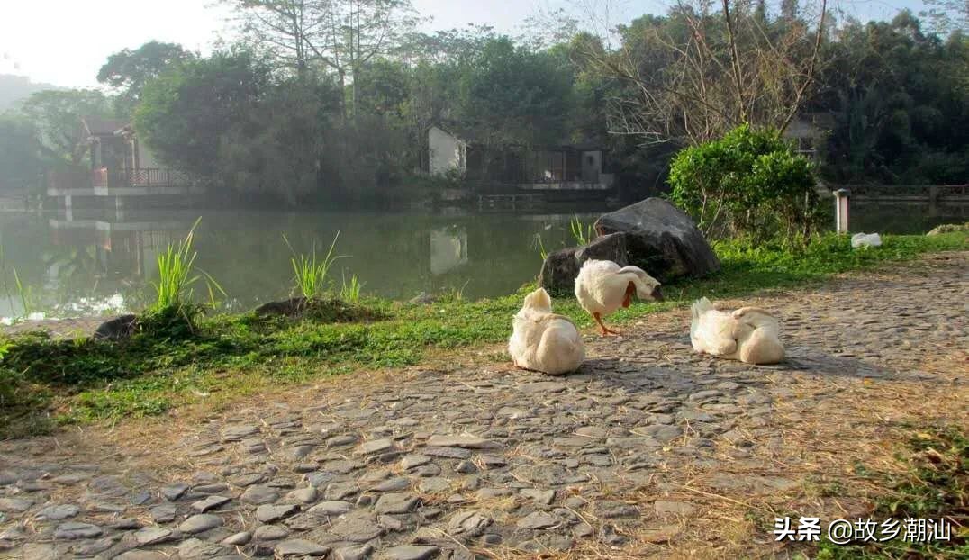 潮汕海山风情图片,饶平海山风情