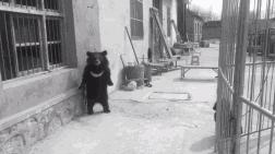 15岁怀孕，她被骗吃下*药炸**，一尸两命：有些人，这辈子不配为人