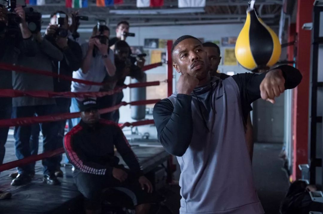 2019开年电影攻略,2019年开年电影抢先看