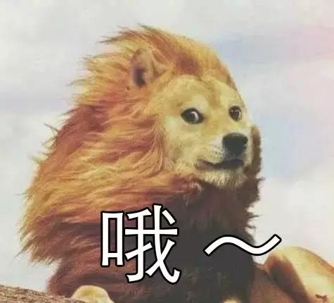 厦门送泉州快递怎么当天到,顺丰快递泉州到厦门需要多久