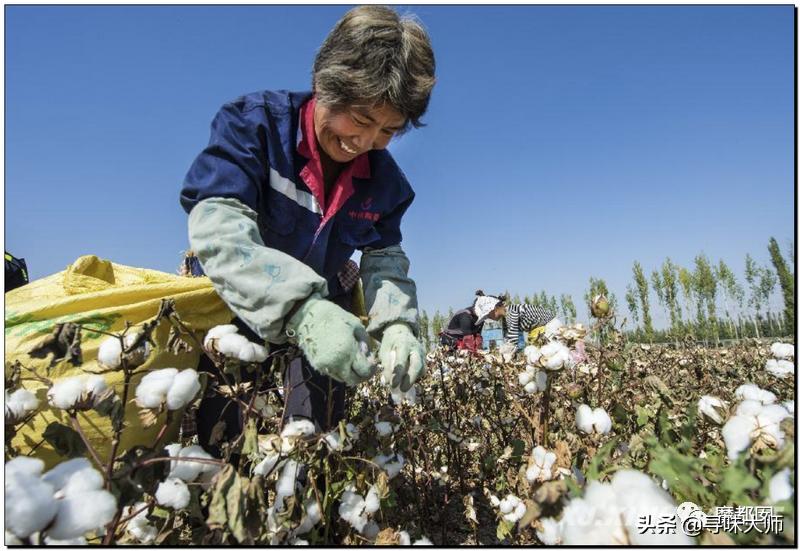 *辱侮**中国！HM、优衣库、ZARA、耐克、阿迪达斯等引公愤