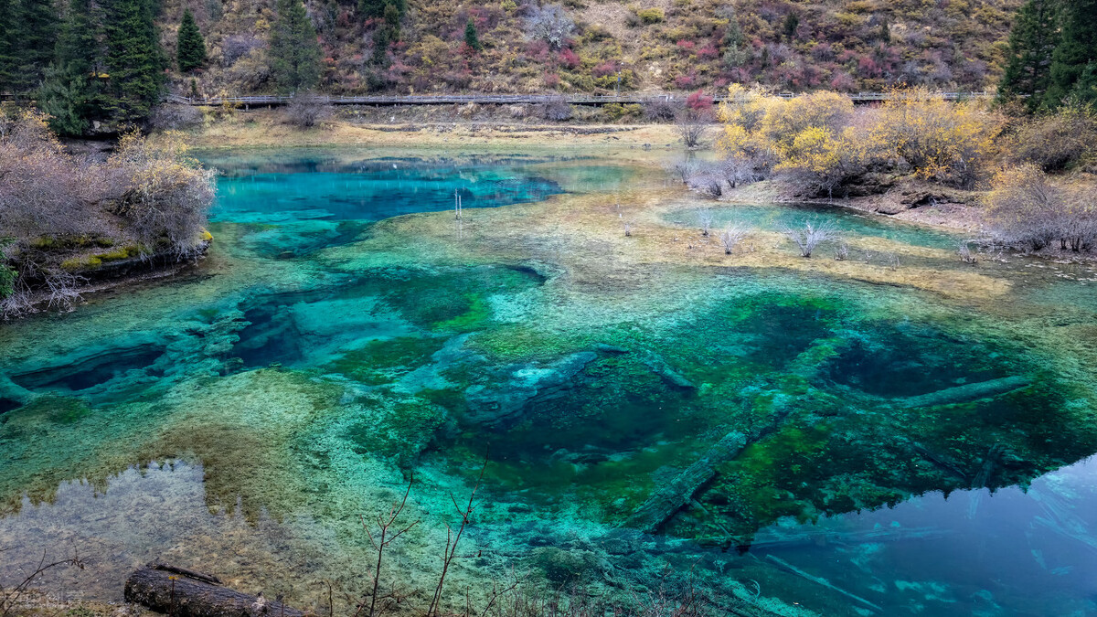 川西看彩林,川西自驾游看彩林攻略