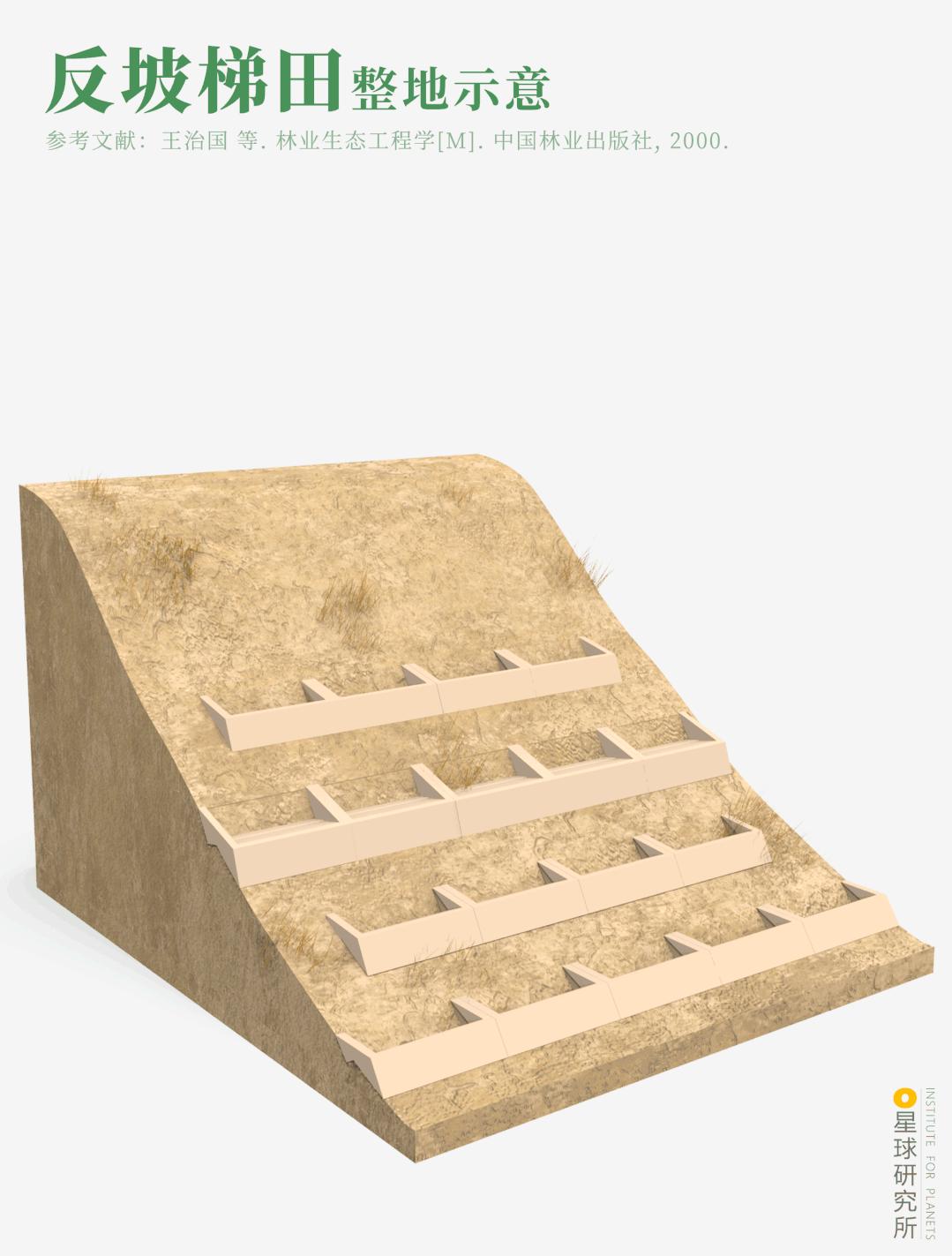 中国植树造林成果国外有什么看法,植树造林改造沙漠