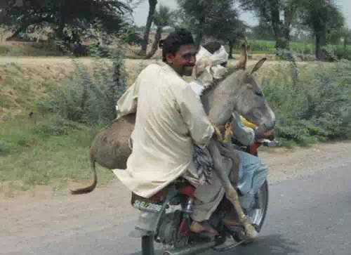 为什么印度是神奇的国度,为啥印度是个神奇国度啊