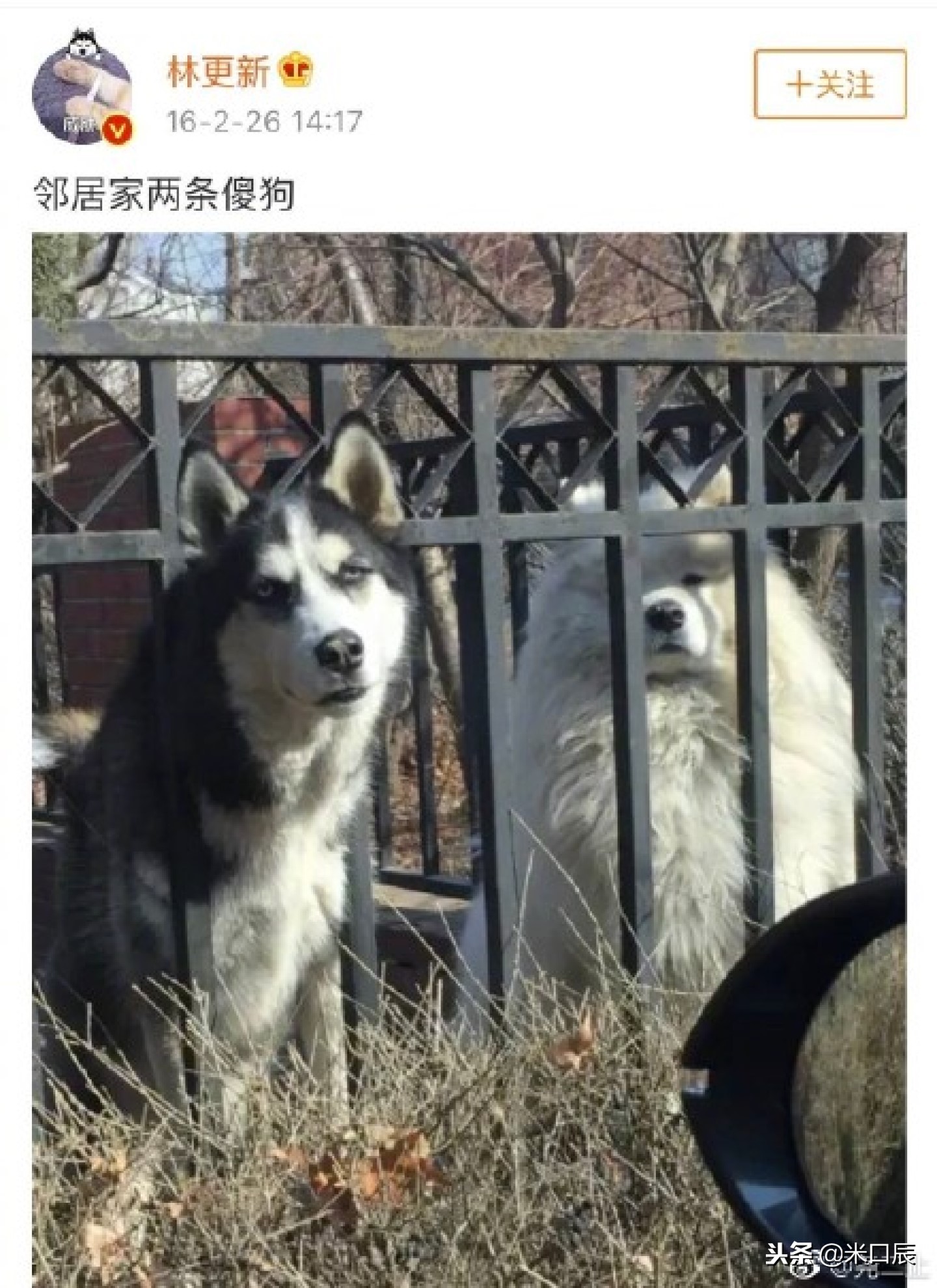 明星大侦探第五季林更新鬼鬼,明星大侦探林更新和鬼鬼是哪一期