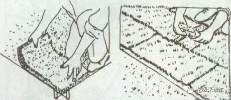 园林铺草皮注意事项,园林铺草皮美篇