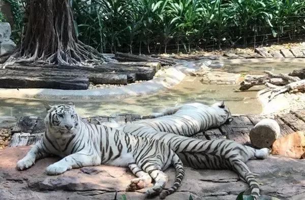 广州生日当天凭身份证有什么优惠,生日福利广州攻略清单