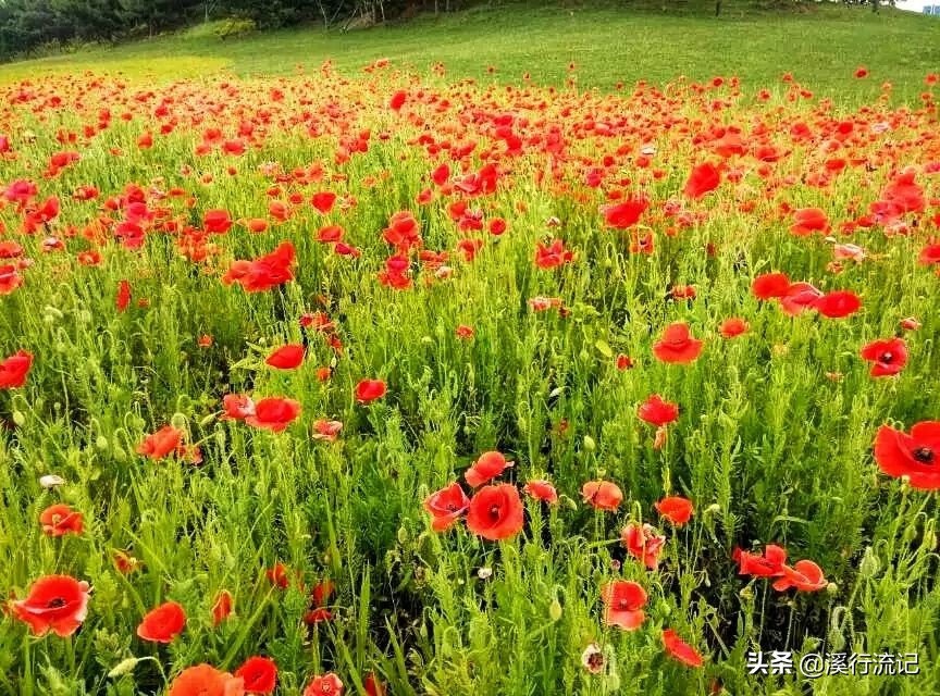 锦州世博园公交车时间表,锦州世博园9月中旬