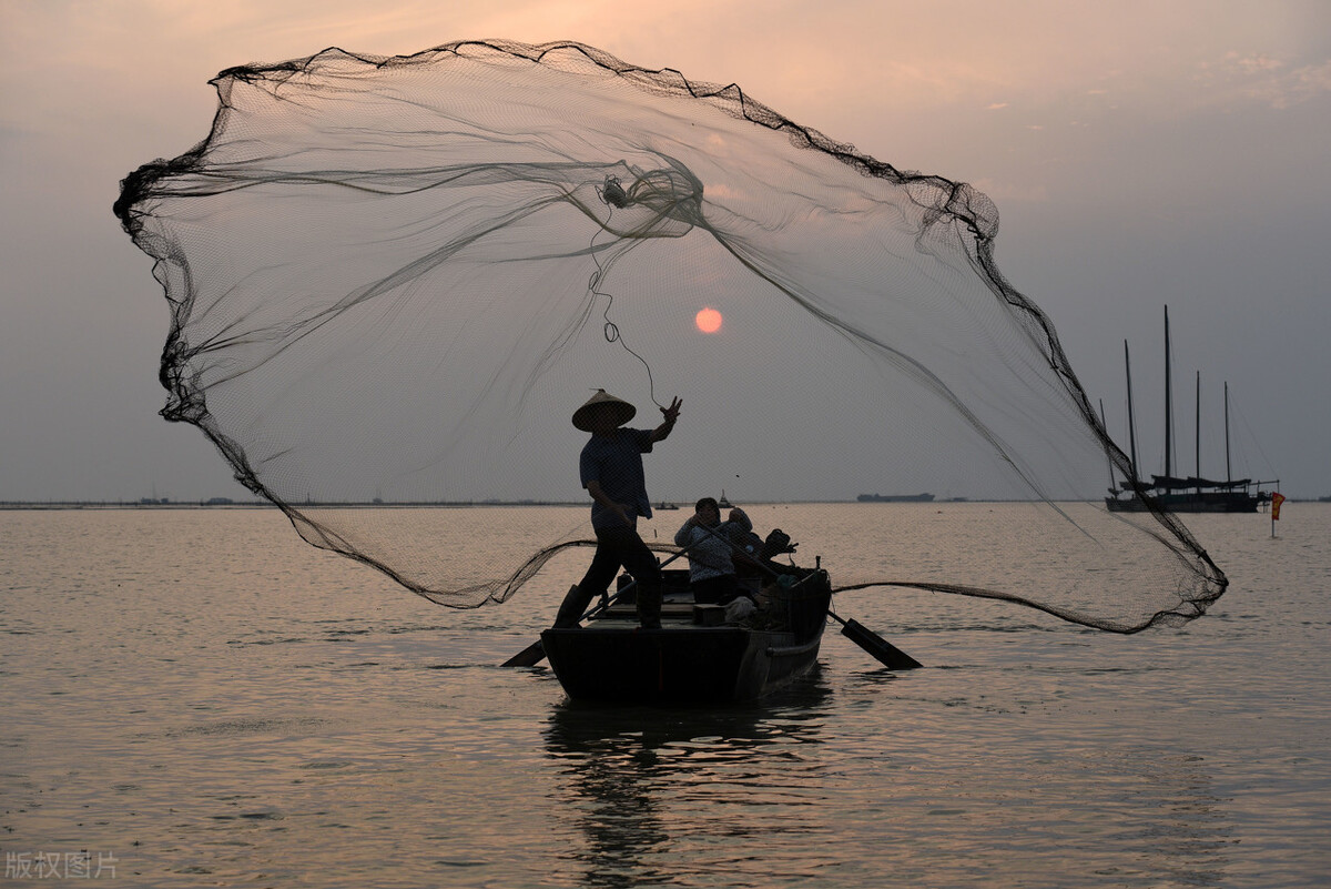 老兵掉土洞险被黑熊咬死,黑熊被人乱棍打死