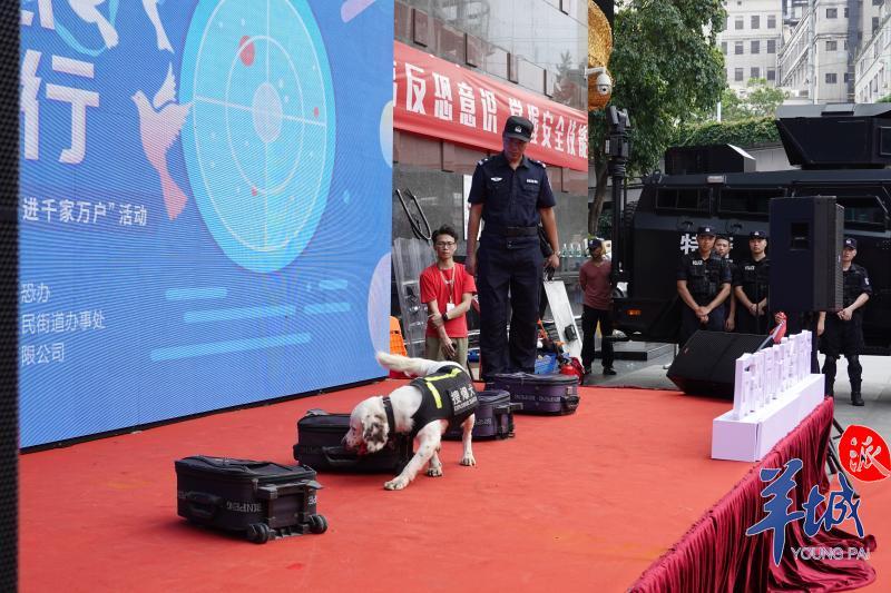 遇到恐怖分子袭击如何自救,遇到恐怖分子袭击时怎么应对英语