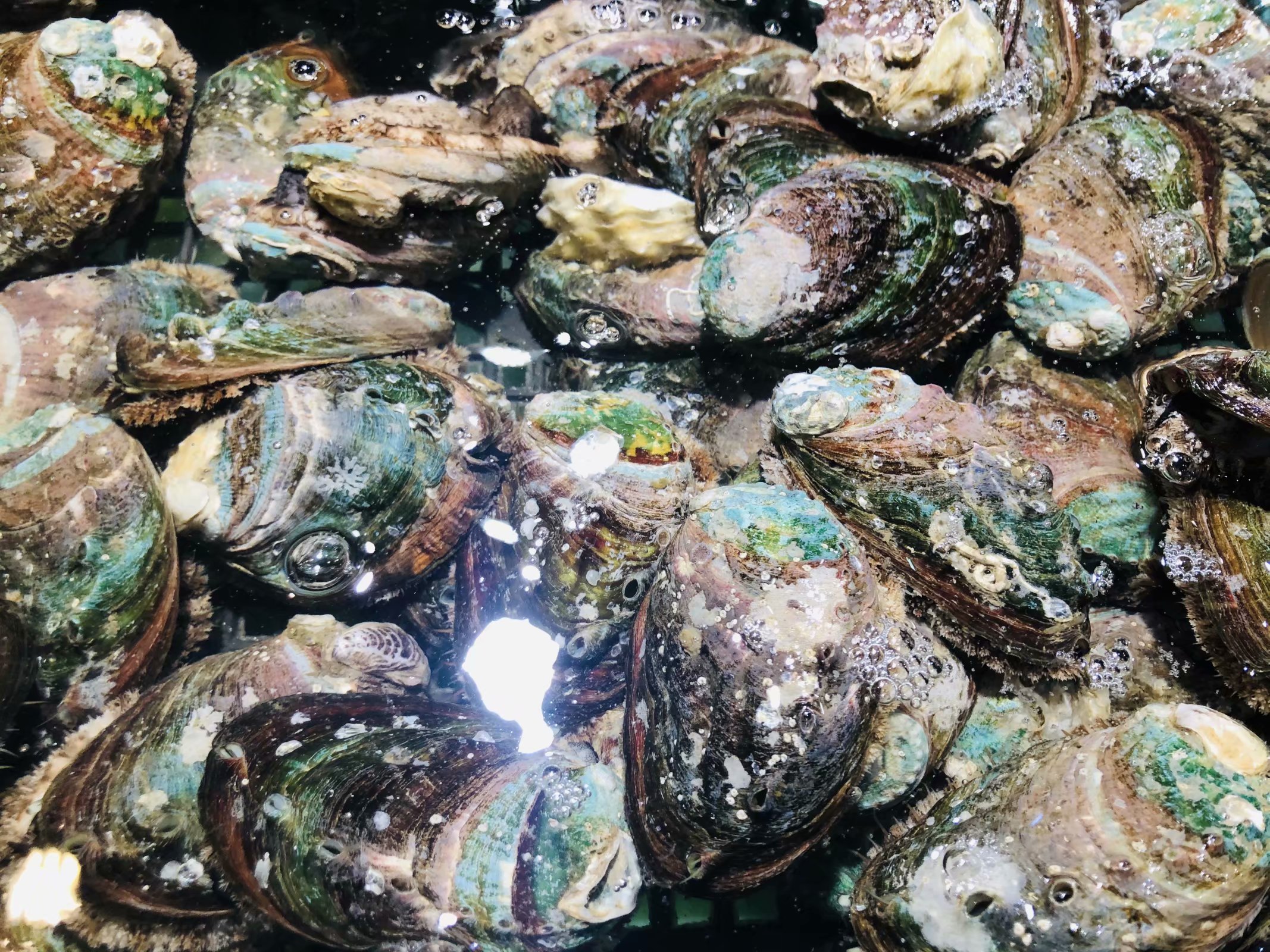 成都夫妻7天花5000玩遍涠洲岛（最后有防踩坑攻略）