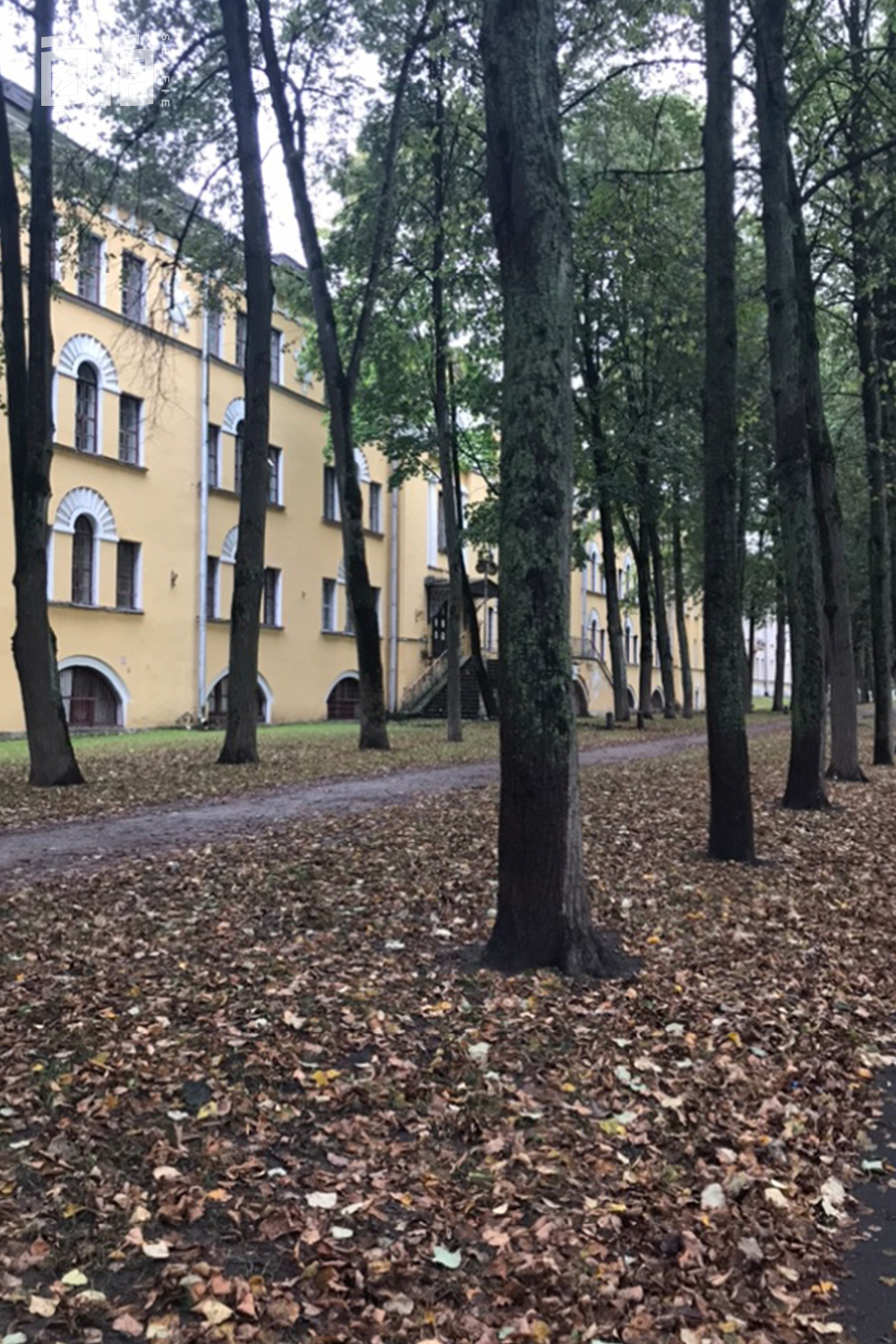 鎴戝湪涔濆崄骞翠唬鍙戝鑷村瘜,鎴戝湪90骞翠唬鍙戝鑷村瘜鍏ㄦ枃鍏嶈垂闃呰