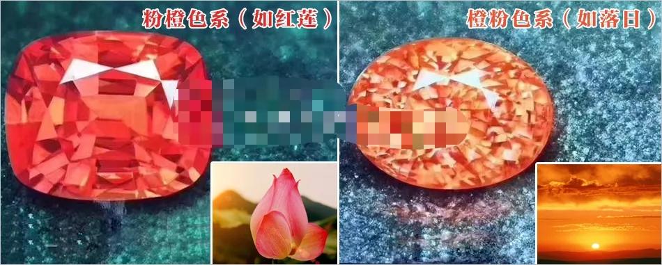 最完美的帕帕拉恰,帕帕拉恰是啥玩意