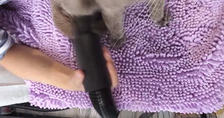 吉若奥mini空气净化器,吉若奥空气净化器测评