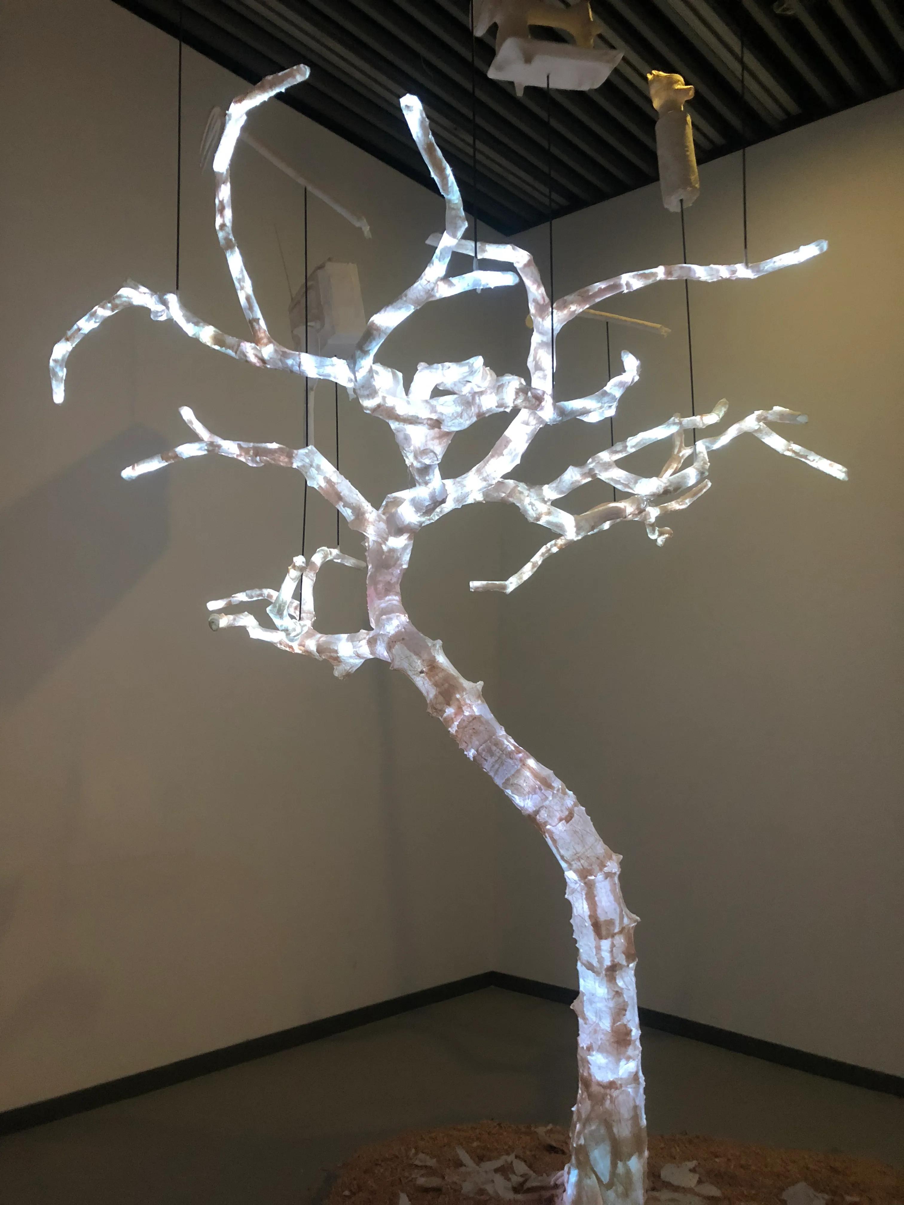 奉贤金海湖钓鱼,奉贤金海湖