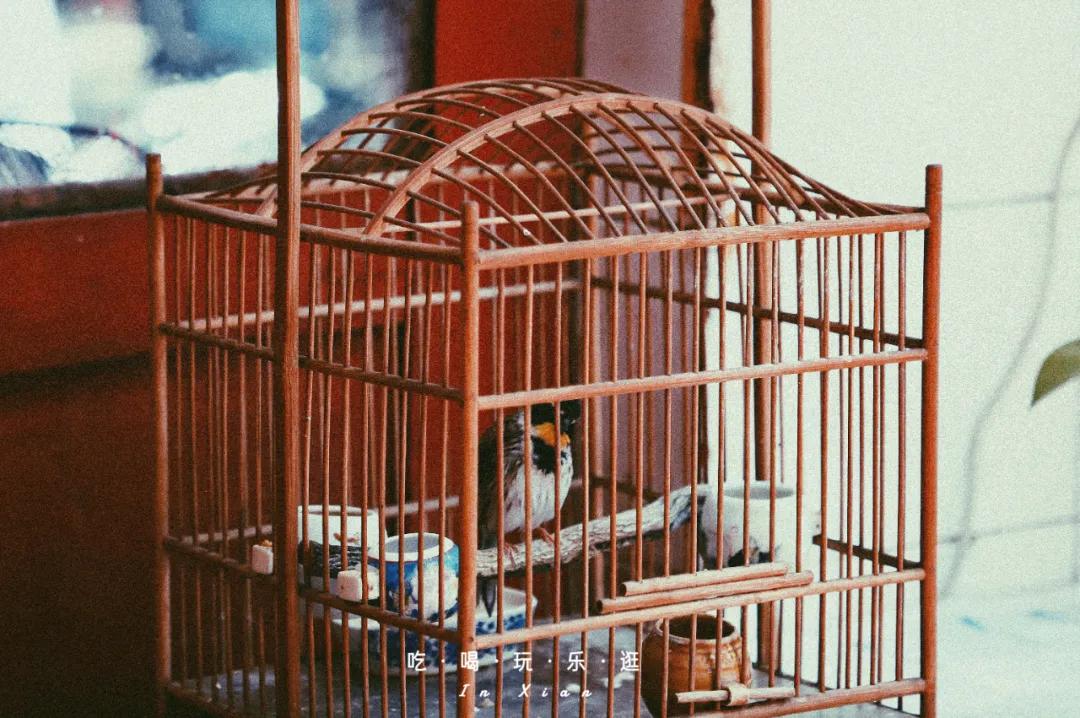 西安教场门现状,西安未消失的教场门