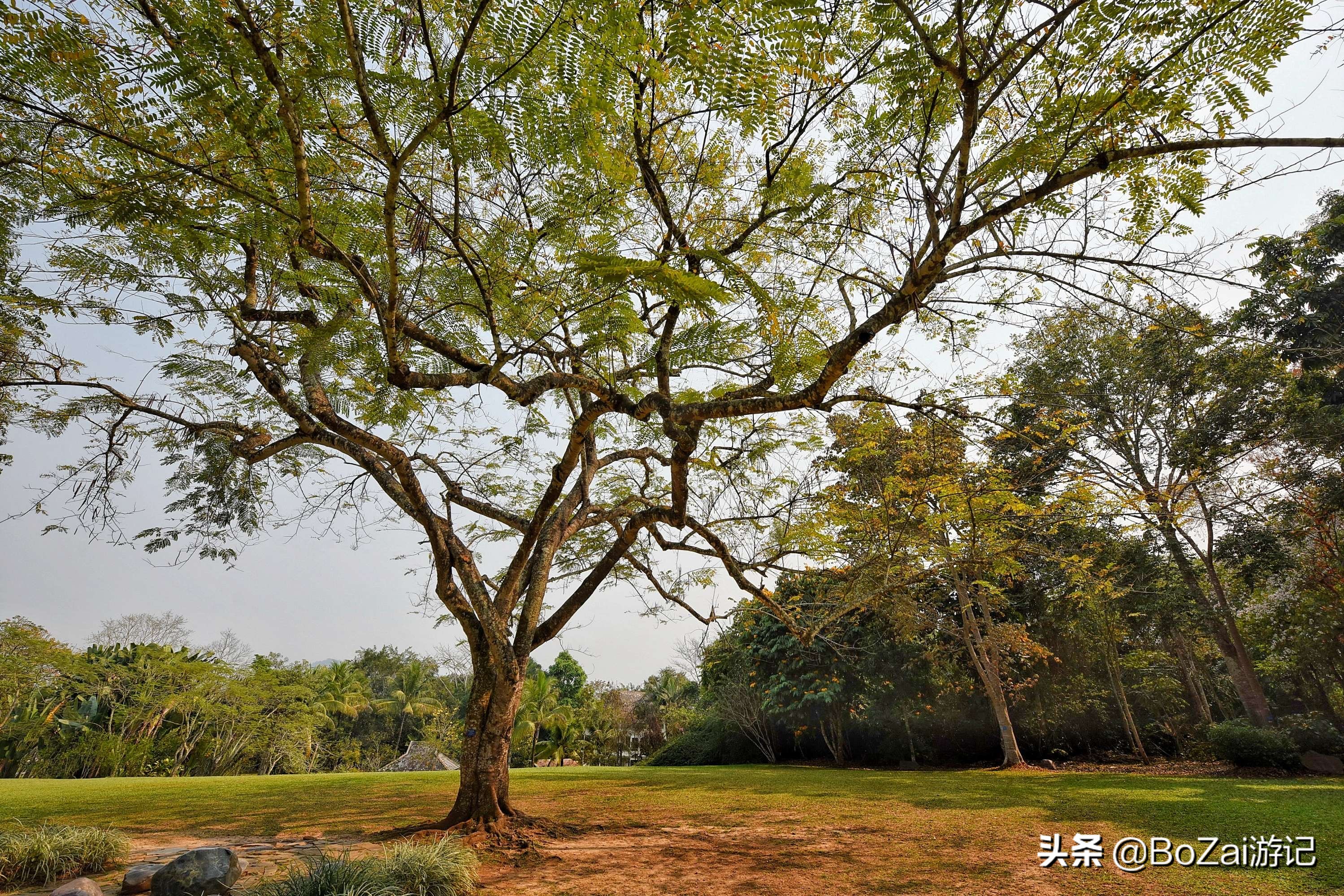 云南西双版纳到文山途经哪些景点,西双版纳适合6-12岁儿童的景点