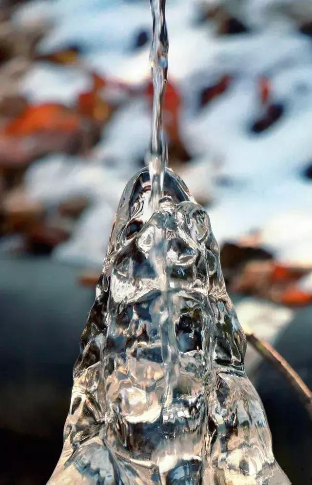 河南省春节旅游免门票景区 (春节河南6大景区半价)