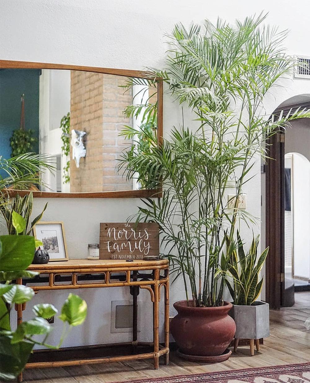 韩雪明星推荐好物,韩雪好物