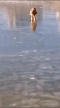 “兄弟睡觉压得胳膊都变色了，要不要叫醒他？”醒来一定很酸爽