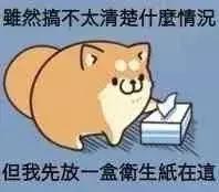 女装大佬防骗指南,女装大佬攻略手册