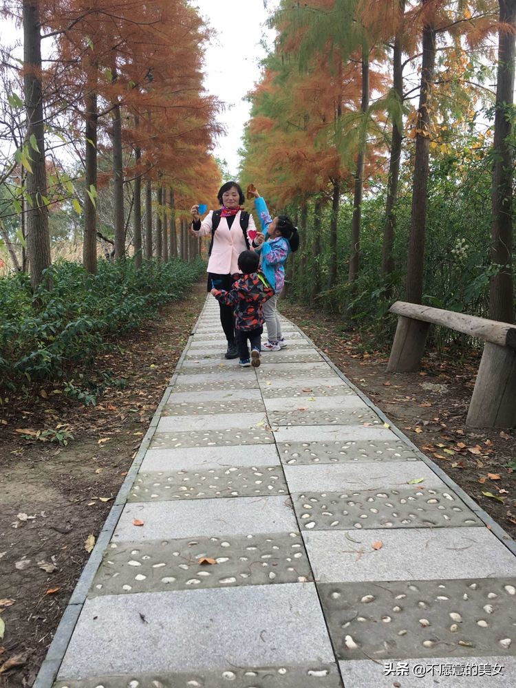 可爱的少妇自拍越来越丰满越来越成熟了