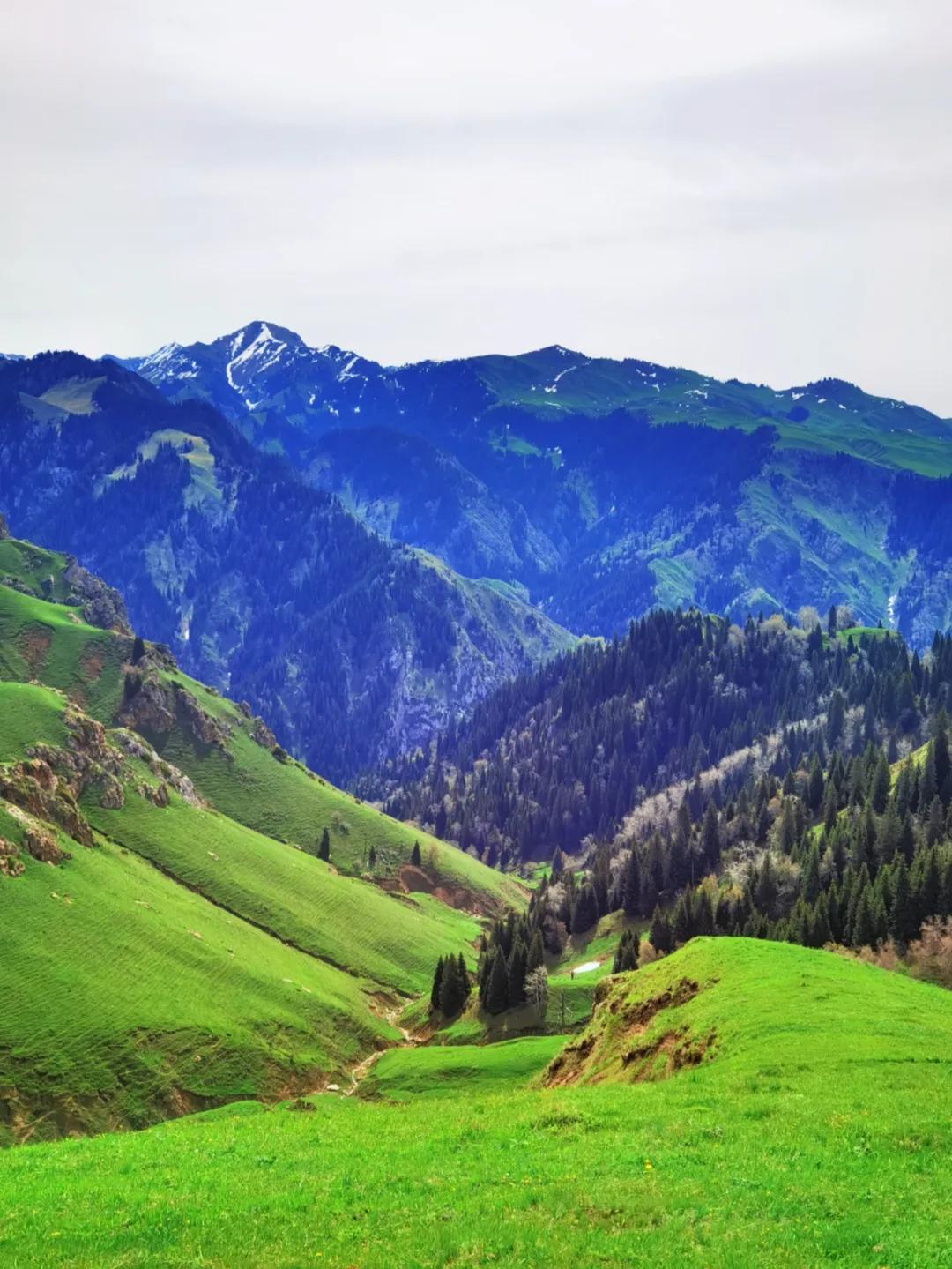 伊犁最美的50处绝色美景,伊犁最美的小众景点