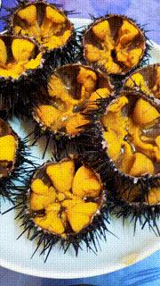 十年前,我只带了一根鱼竿出门,吃遍了世界上的各种顶级海鲜